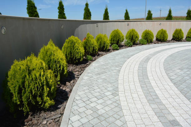 Best Commercial Driveway Pavers  in St Cloud, MN